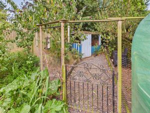 Chicken Run- click for photo gallery